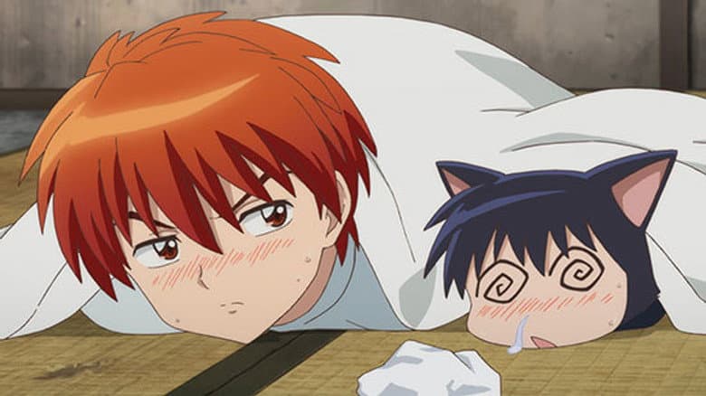 Companhia Damashigami