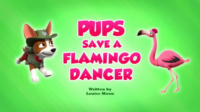 Os Filhotes Salvam um Flamingo Dançarino