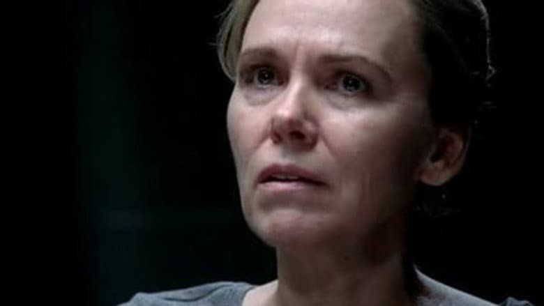 Episódio 14