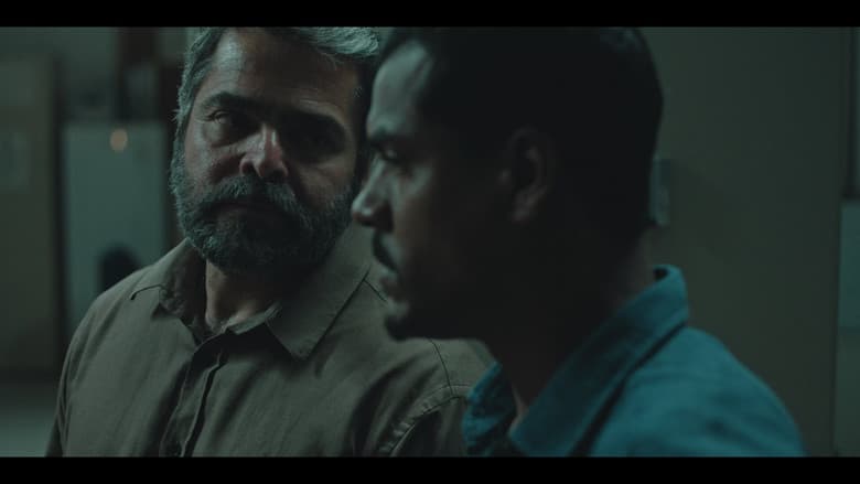 Episódio 5