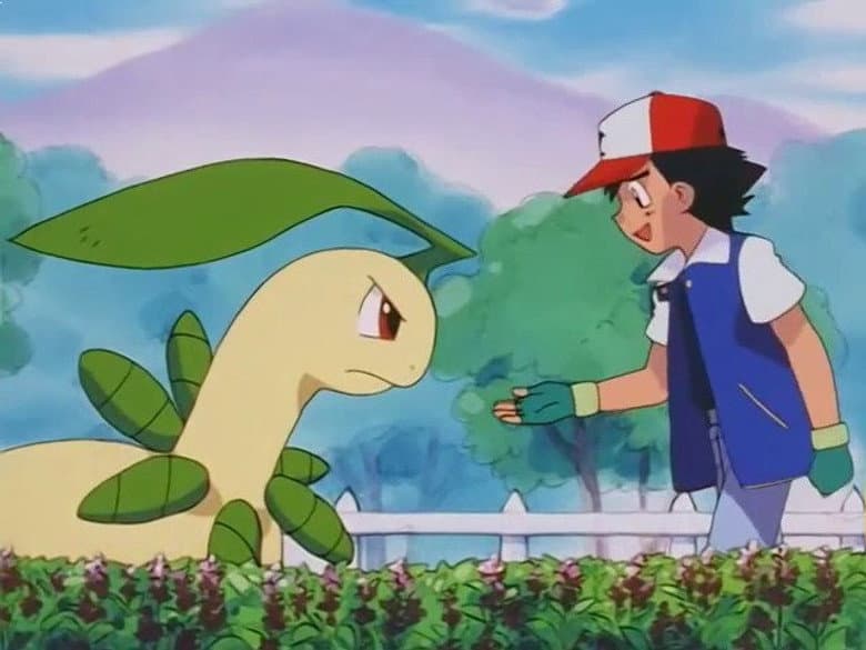 Reconquistando Bayleef!