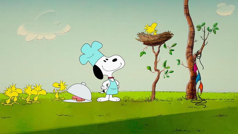 Só o Seu Cãozinho Básico.