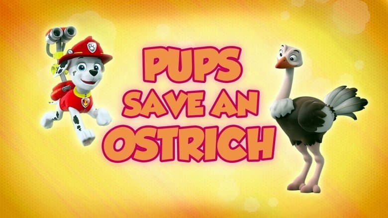 Os Filhotes Salvam um Avestruz