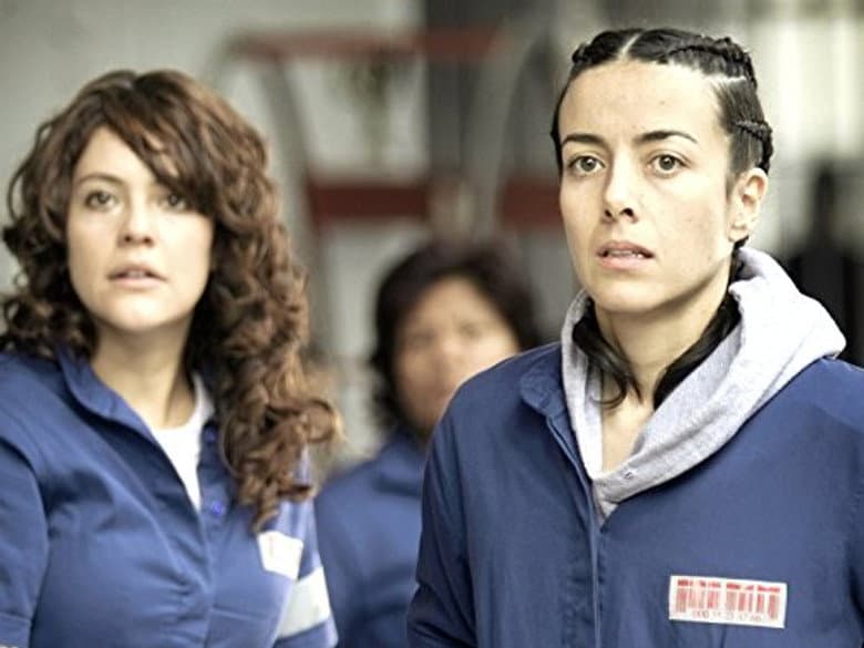 Episódio 8