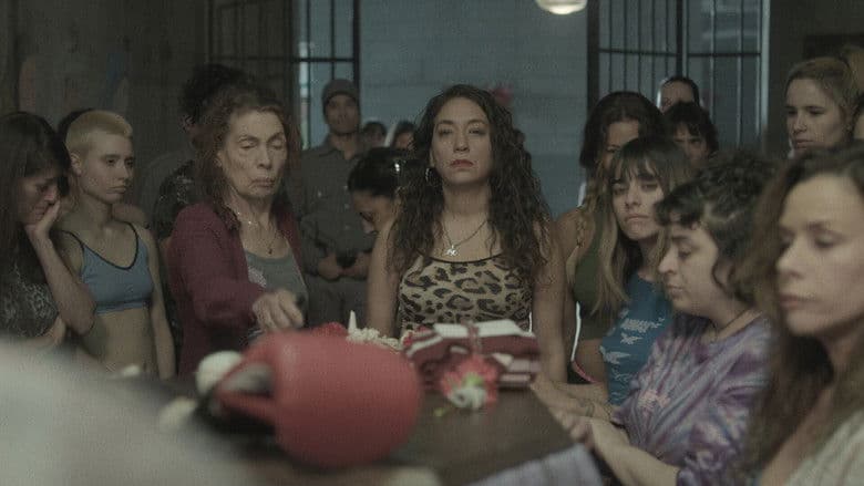 Episódio 5