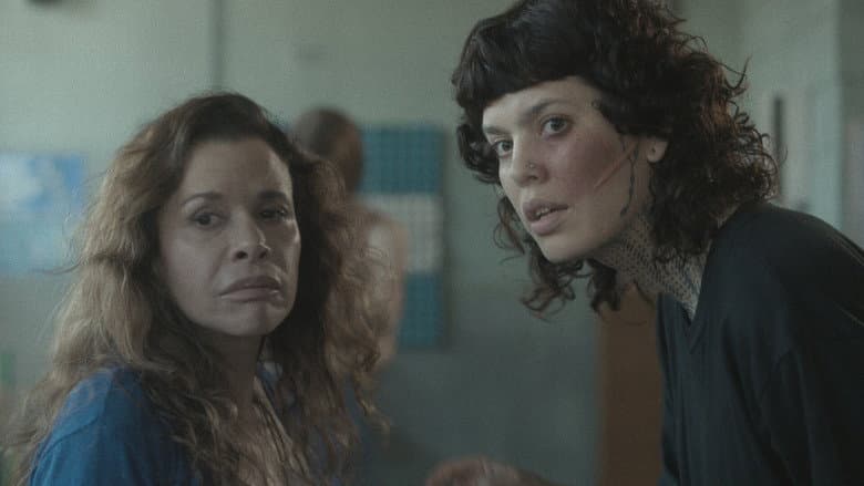 Episódio 4