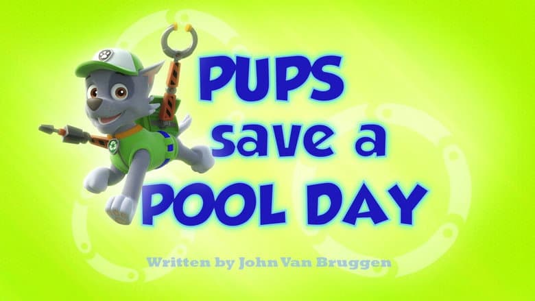Os filhotes salvam o dia na piscina
