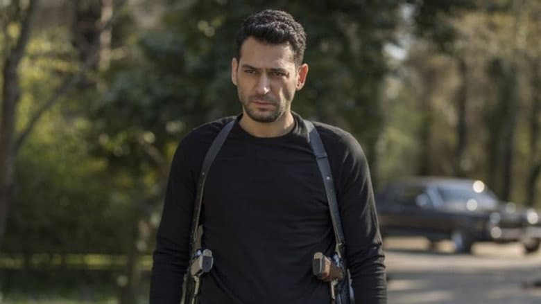 Episódio 29