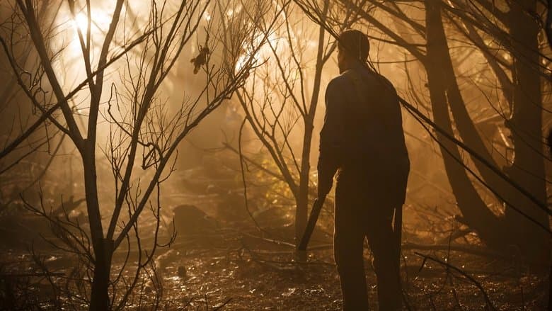 Episódio 8