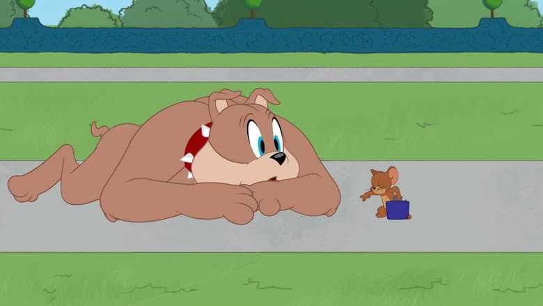 Episódio 31