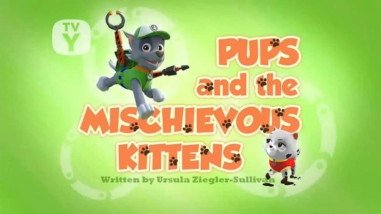 Os filhotes e os gatinhos levados
