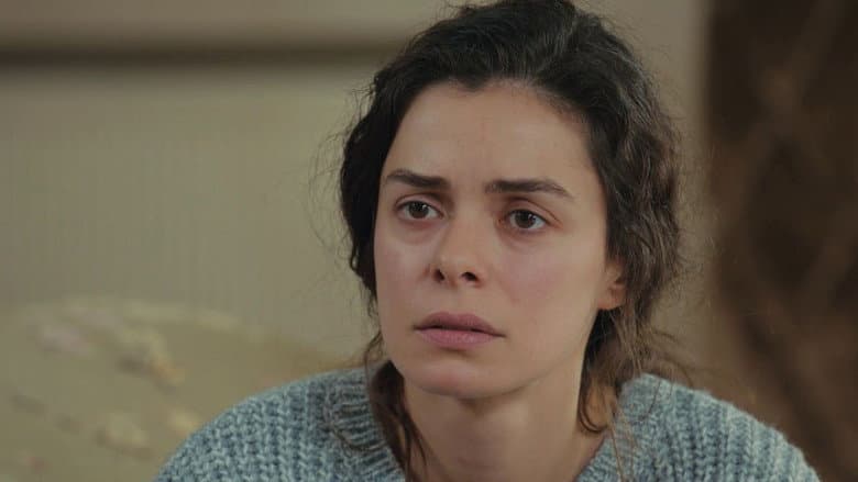 Episódio 19