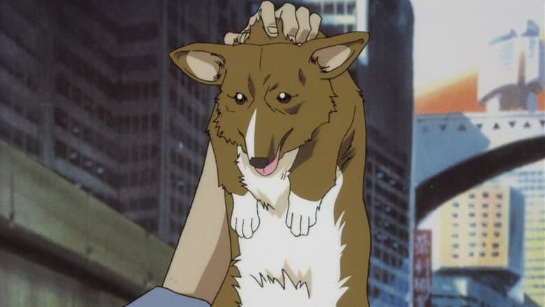 Stray dog strut