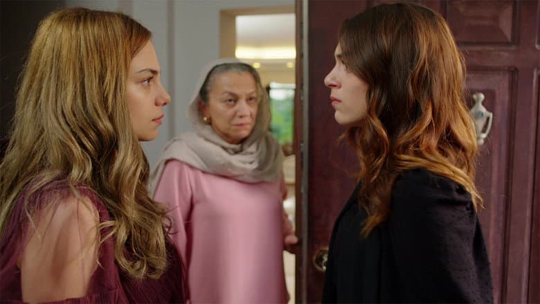 Episódio 29