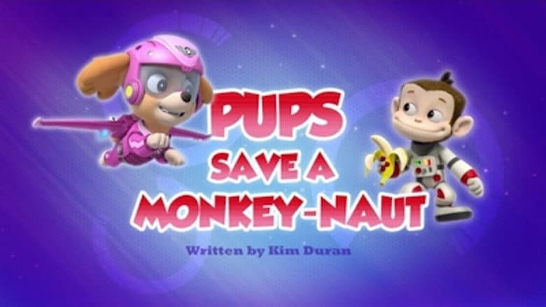 Os filhotes salvam um macaco-nauta