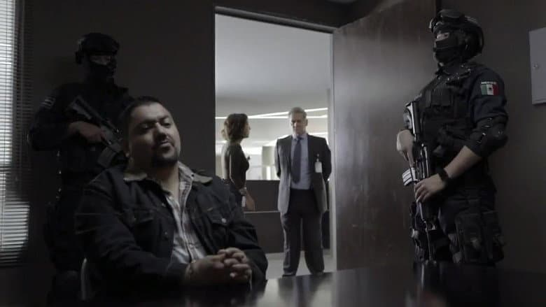 Episódio 31