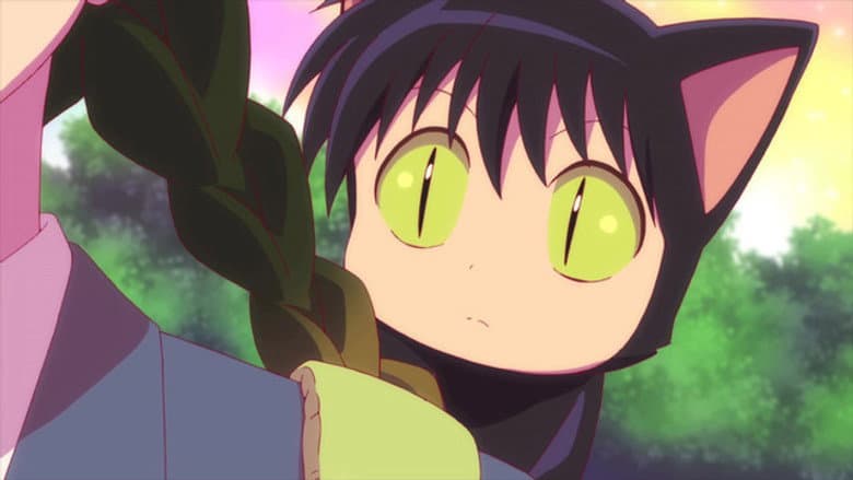 A Aposta de Sakura