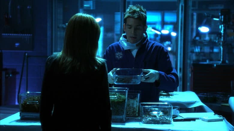 O que está comendo Gilbert Grissom?