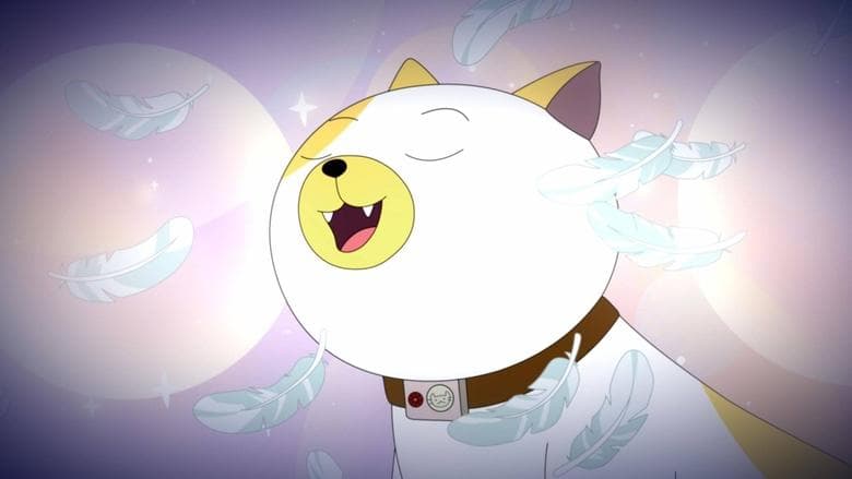 Cake O Gato