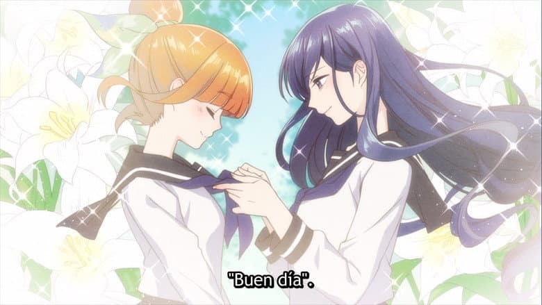 Episódio 7