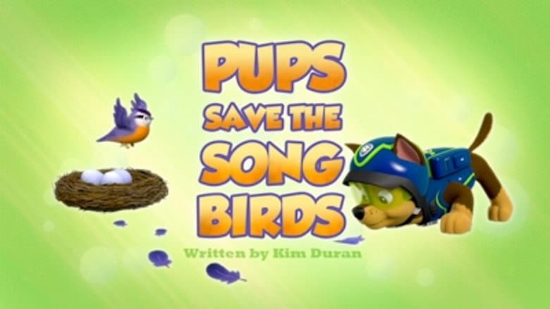 Os Filhotes Salvam as Aves Canoras