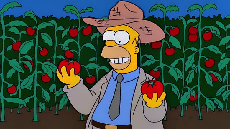 Homer: O Fazendeiro