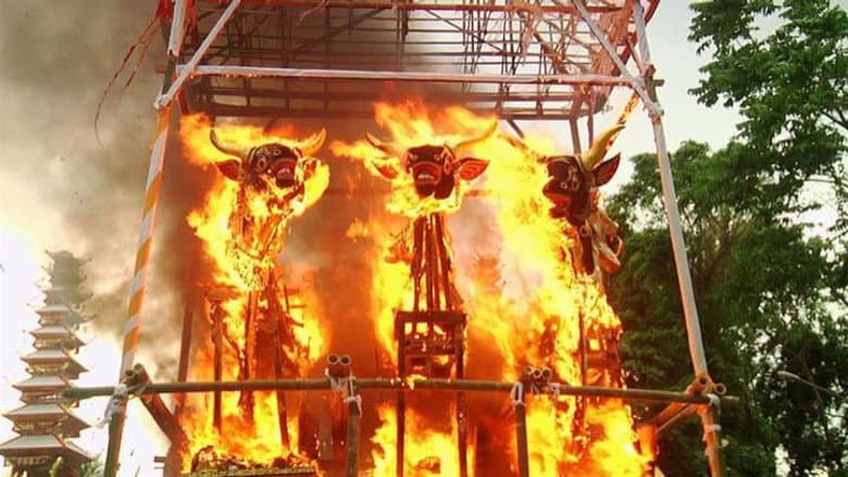 Alienígenas e os Rituais Miesteriosos