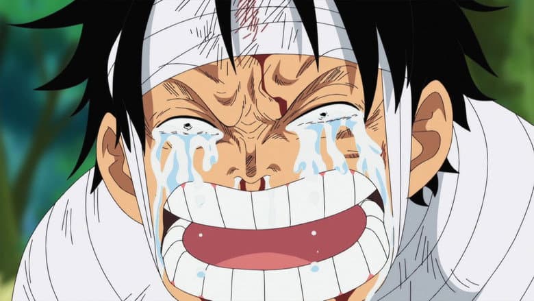 Chegada à Ilha das Mulheres! A Árdua Realidade Tortura Luffy!