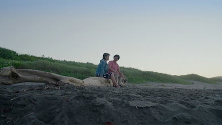 Episódio 17