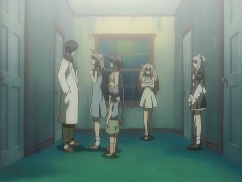 Episódio 7