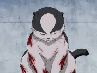 Stray Cat Blues de Kabukicho