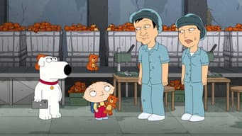 Episódio 11