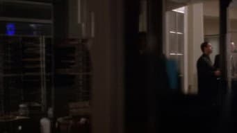 Episódio 8
