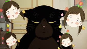 O Gato Prendado Consegue Vigiar a Casa?