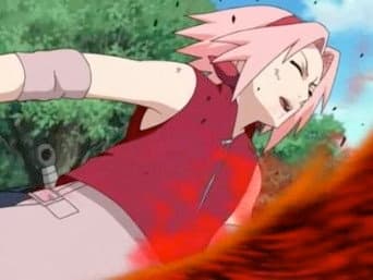 As Lágrimas de Sakura