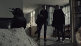 Episódio 8