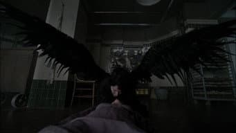 Primo das Trevas