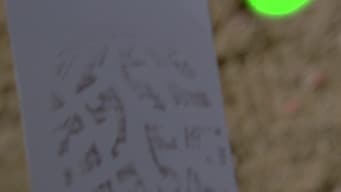 Episódio 8