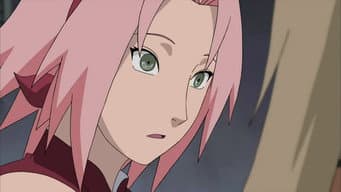 O Caminho de Sakura