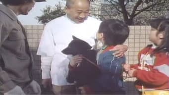 O cachorro que mia