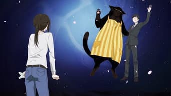 O Gato Prendado Consegue Fazer DIY Também