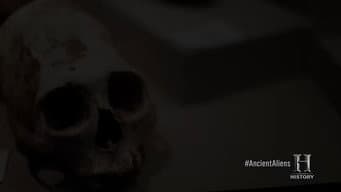 Evolução Alienígena