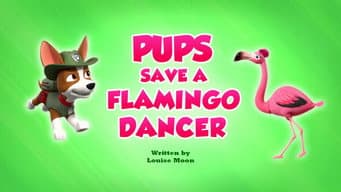 Os Filhotes Salvam um Flamingo Dançarino
