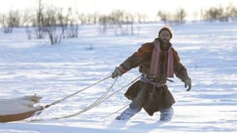 Frio de Matar