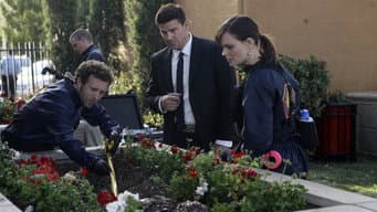 The Pinocchio in the Planter