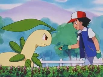 Reconquistando Bayleef!