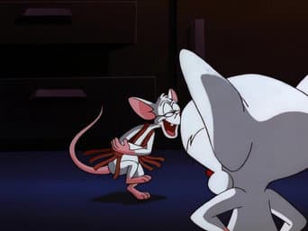 Episódio 26