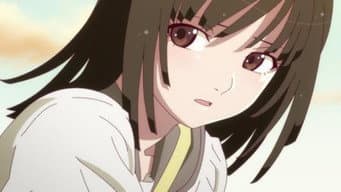 Tsubasa Cat 1