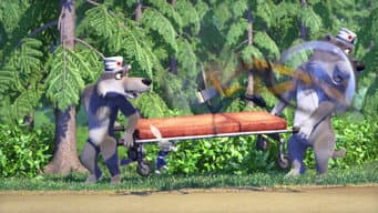 Corrida na Floresta