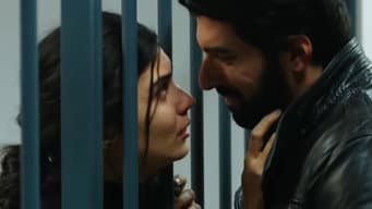 Episódio 14